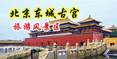 调教舔屁眼视频中国北京-东城古宫旅游风景区